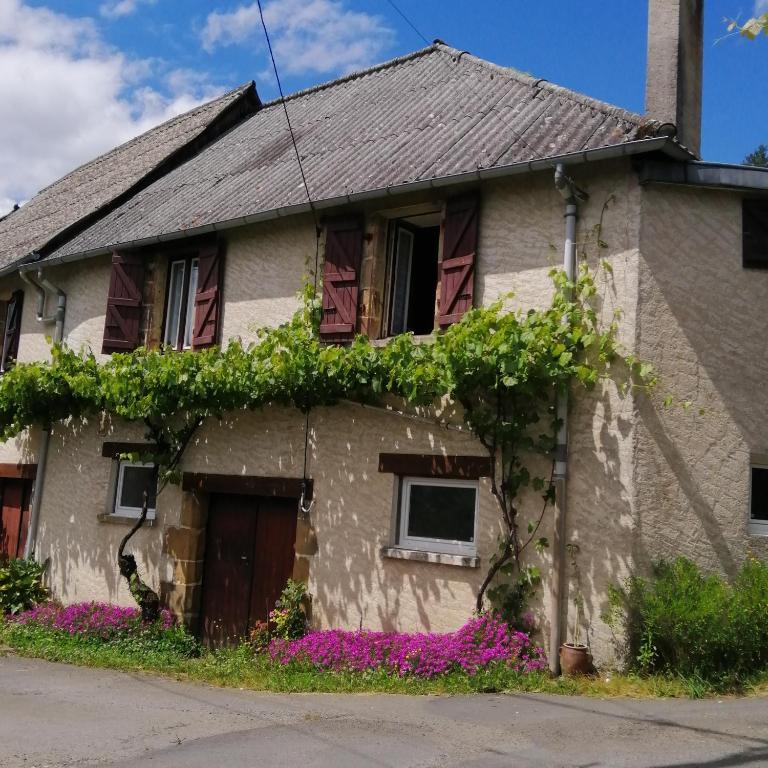 une maison avec des fleurs sur le côté dans l'établissement Maison familiale coteaux de la Vézère, à Voutezac