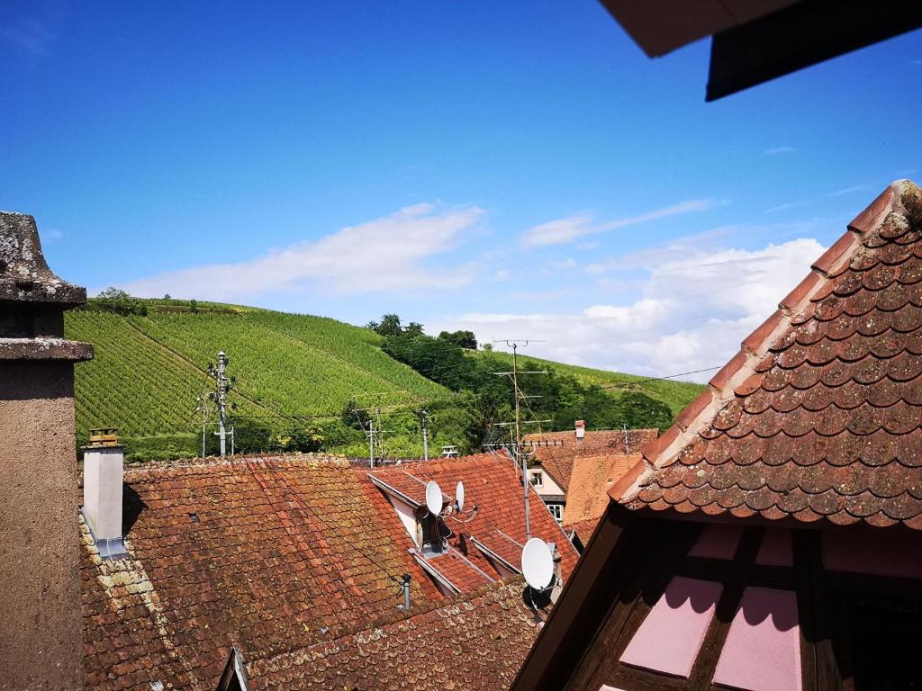 Příroda nedaleko bed and breakfast