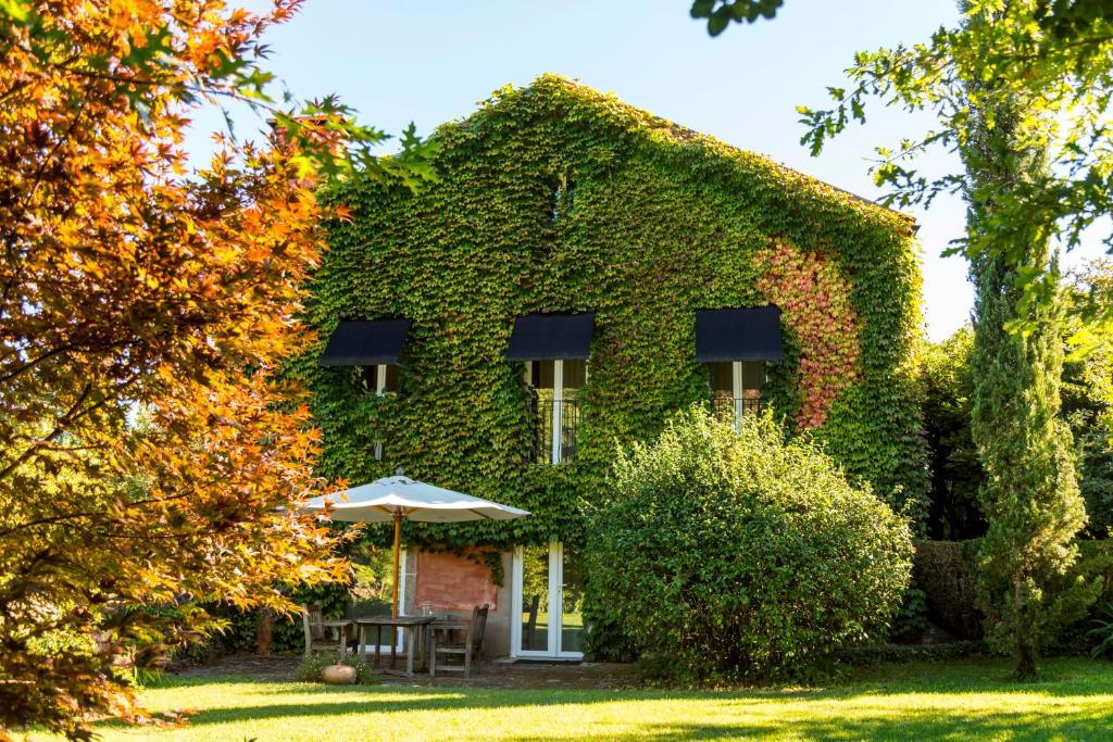 een huis bedekt met groene klimop met een paraplu bij Quinta do Ameal - Wine & Tourism Terroir in Refoios do Lima