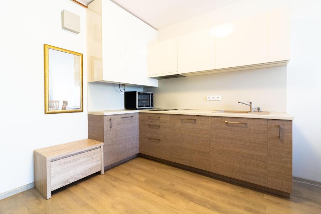 Apartamentai Malūno Vilos - 带阳台的公寓
