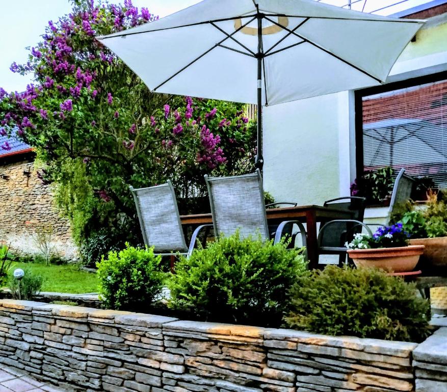 A garden outside Chalupa U Miška