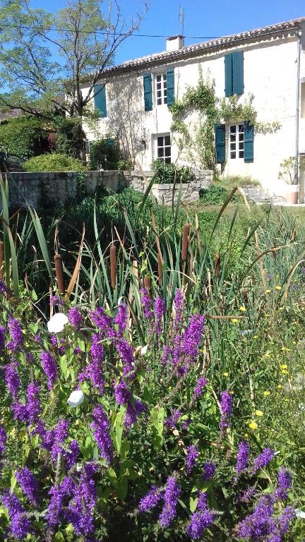 un jardín con flores púrpuras frente a una casa en Le Clot de Meste Duran, en Condom