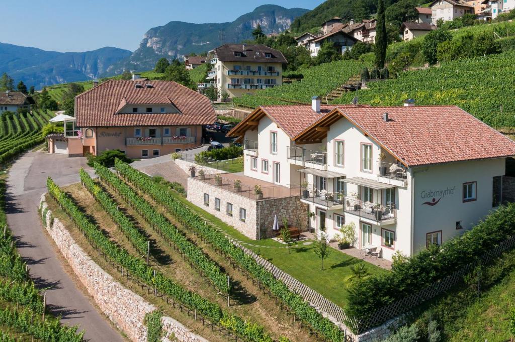 a village in a vineyard with a house and vines at Grabmayrhof in Termeno