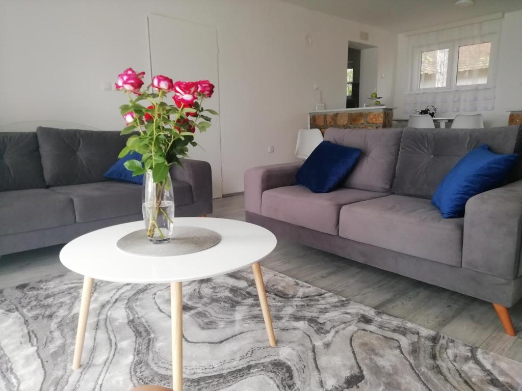 Posezení v ubytování Fenix apartman Vinci