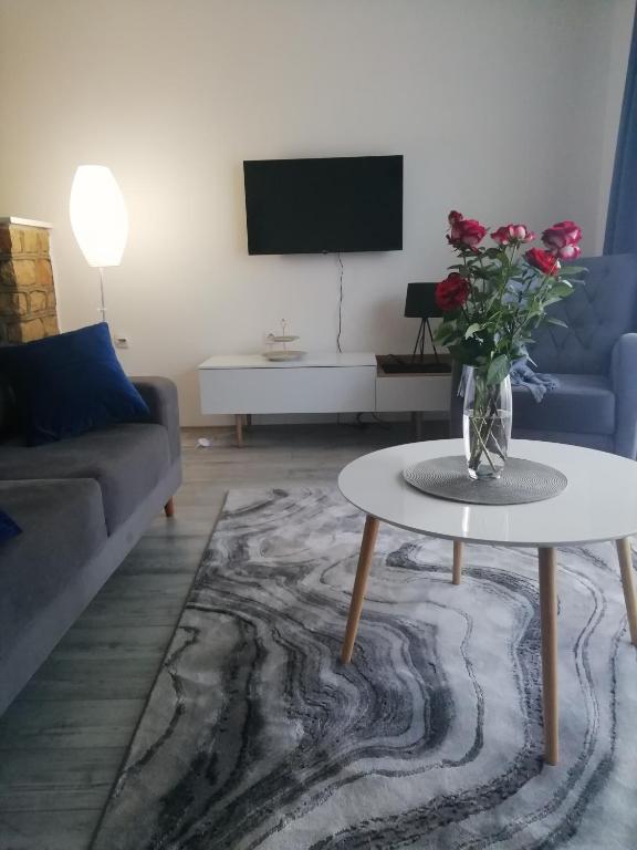 TV a/nebo společenská místnost v ubytování Fenix apartman Vinci