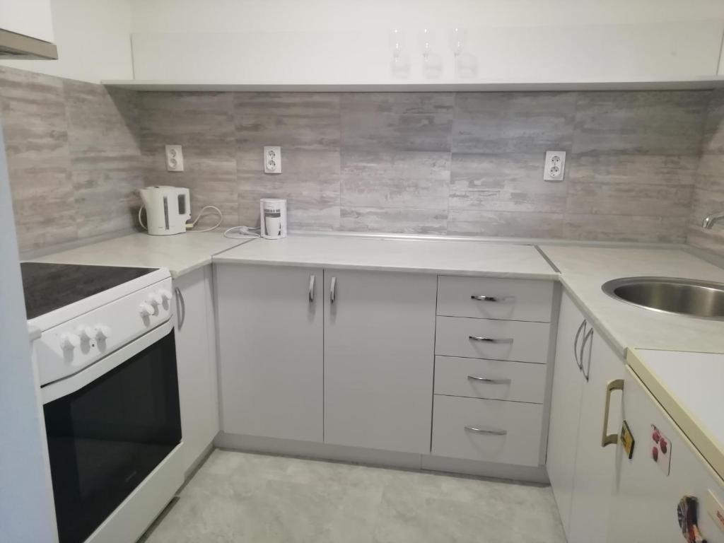 Kuchyň nebo kuchyňský kout v ubytování Fenix apartman Vinci