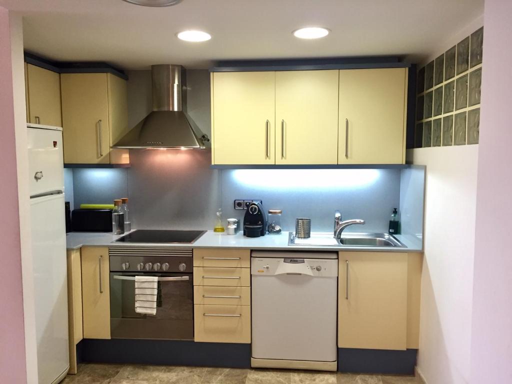 Kuchyňa alebo kuchynka v ubytovaní PRECIÓS APARTAMENT A PRIMERA LÍNIA DE MAR