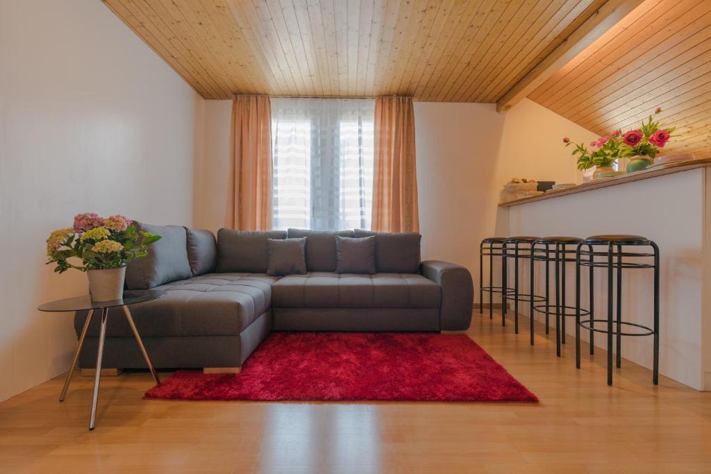 Swiss Mountains Apartments - Resim 9