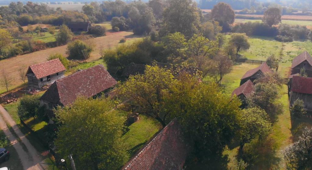 Paysage naturel près de the country house