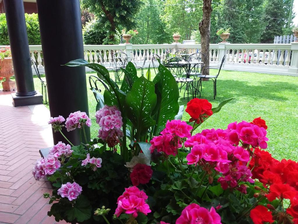 Zahrada ubytování Hotel La Rosa