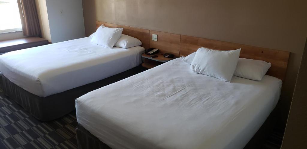 York Microtel Inn & Suites by Wyndham - 豪华皇后室和两个大床 - 不吸烟