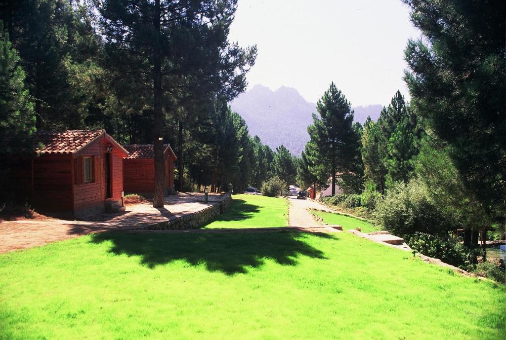 een grasveld met een klein huis in de verte bij Cabañas La Toma del Agua in Riópar