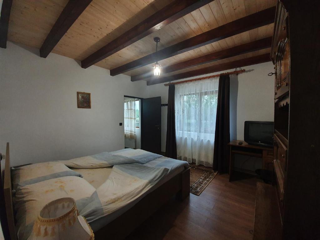 Pensiunea Ilea - Chambre Double Avec Vue Sur Le Jardin