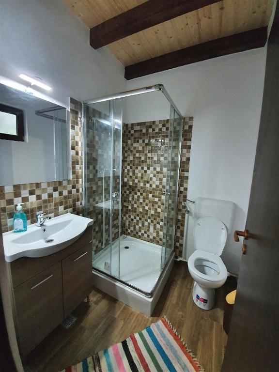 Pensiunea Ilea - Chambre Double Avec Salle De Bain Privée