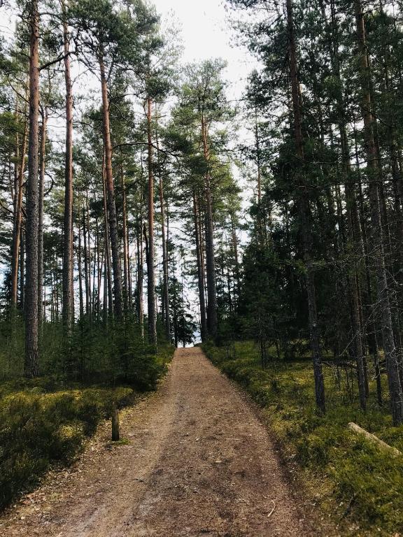 Loodusmaastik võõrastemaja lähedal