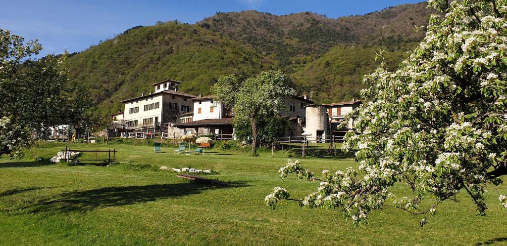 una manada de ovejas en un campo frente a una casa en Agriturismo Al Lambic, en Tignale