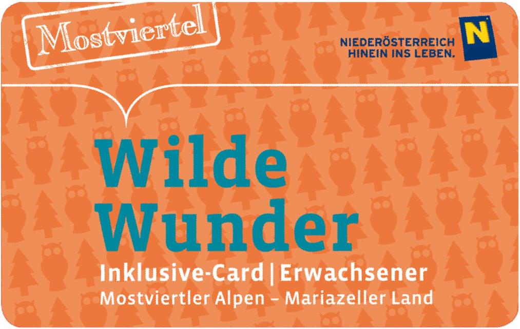 Fotografie z fotogalerie ubytování Ferienwohnung Leitner v destinaci Lunz am See