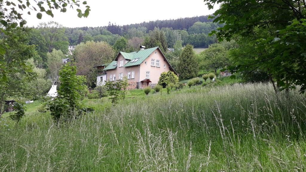 ein Haus an der Seite eines Hügels mit hohem Gras in der Unterkunft U Mushera in Vrchlabí
