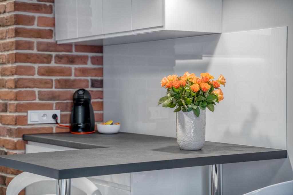 Flow Apartments Toruń - 一居室公寓