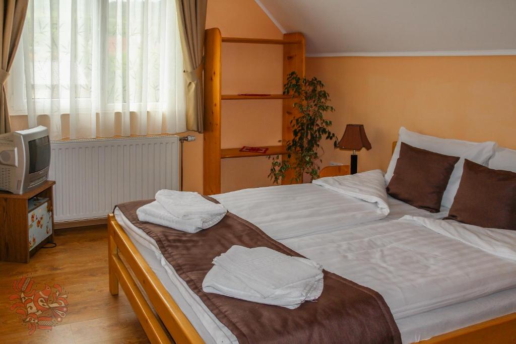 Sóvidék Guesthouse - Habitación Doble O Gemela Con Vista A La Montaña