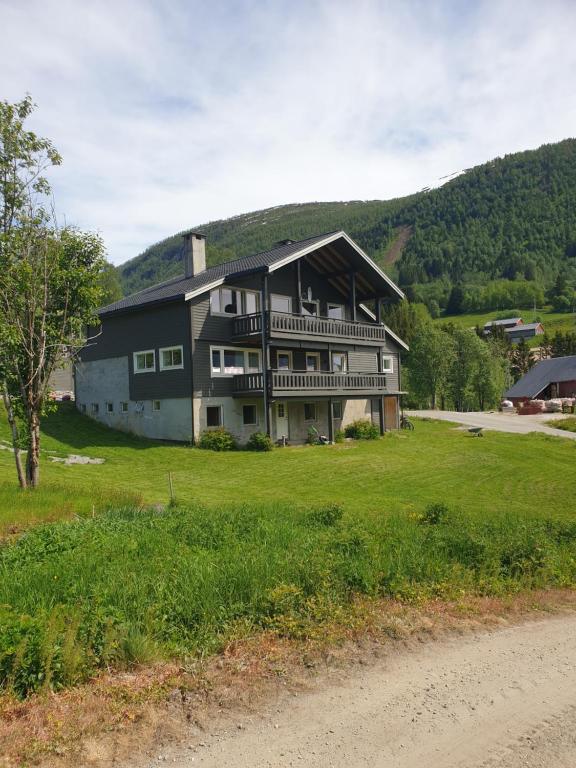 een groot huis bovenop een weelderig groen veld bij Mørkve Apartement in Myrkdalen 