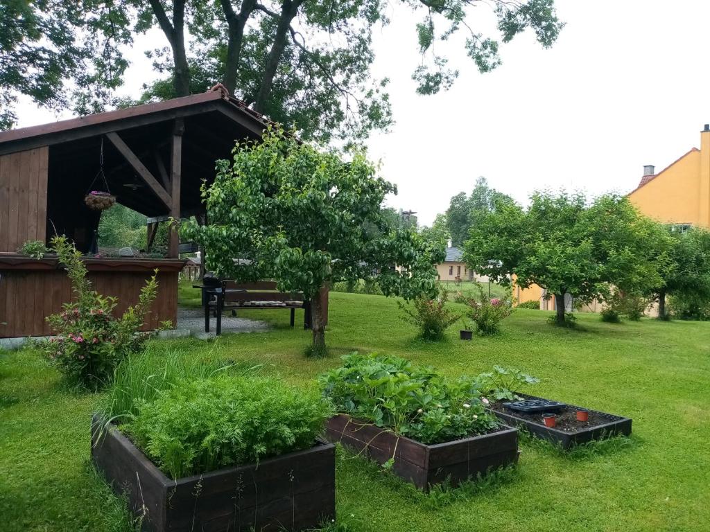 einen Garten mit drei erhöhten Pflanzen auf einem Hof in der Unterkunft MiJa apartmán s VINNÝM SKLÍPKEM, zahradou a grilem in Kájov