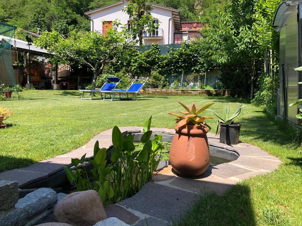 a garden with a large vase with plants in it at CLUA Holiday House in Porto Ceresio