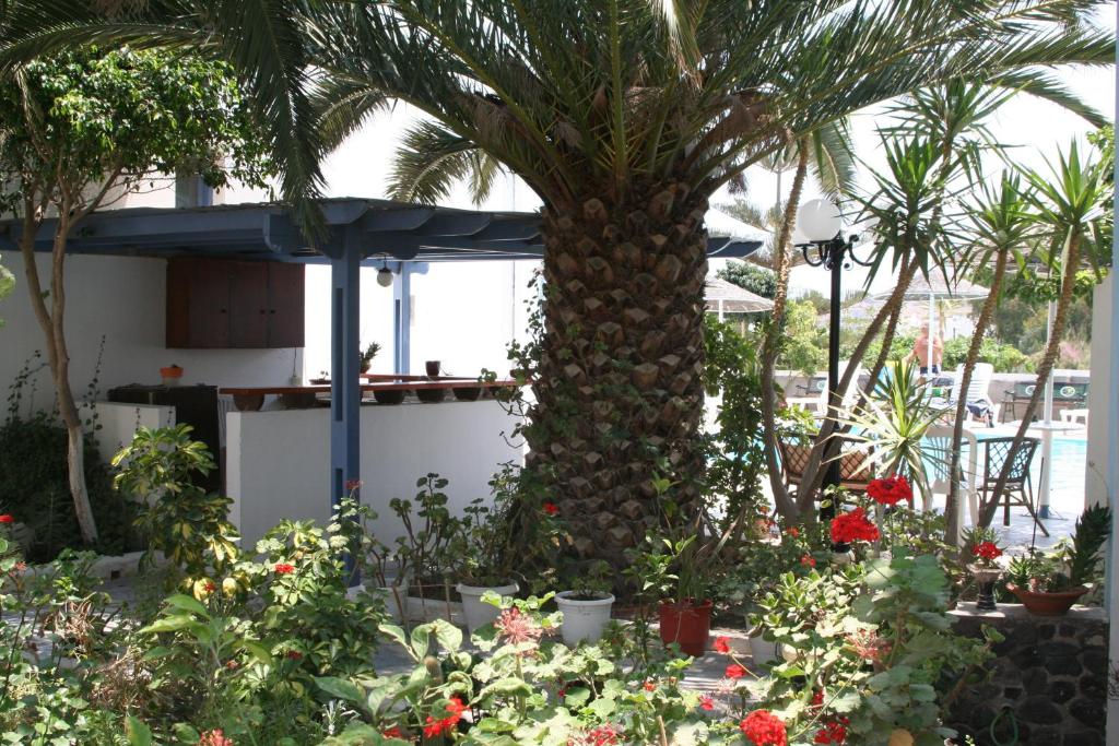 Zahrada ubytování Hotel Kalma