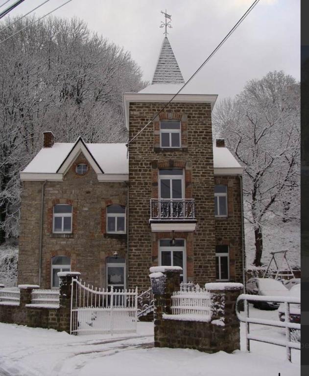 Petit Château de Harzé v zimě