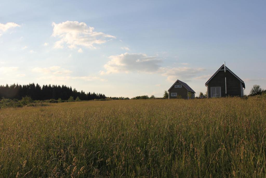 Deux granges dans un champ d'herbe haute dans l'établissement Mazury Garbate - Dom I przy Cisowym Jarze, à Kowale Oleckie