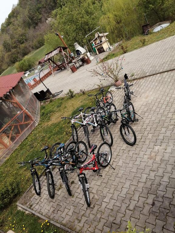 Jízda na kole v ubytování Dara's Camping nebo okolí