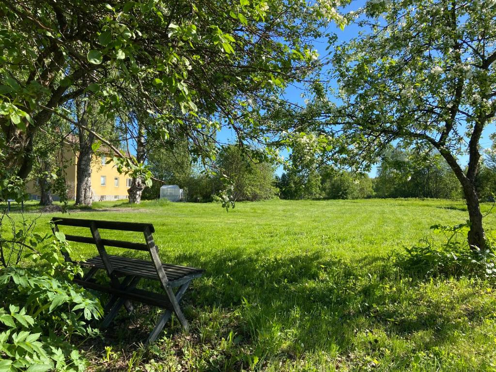 eine Parkbank im Gras unter einem Baum in der Unterkunft Vojakkala Vandrarhem in Haparanda