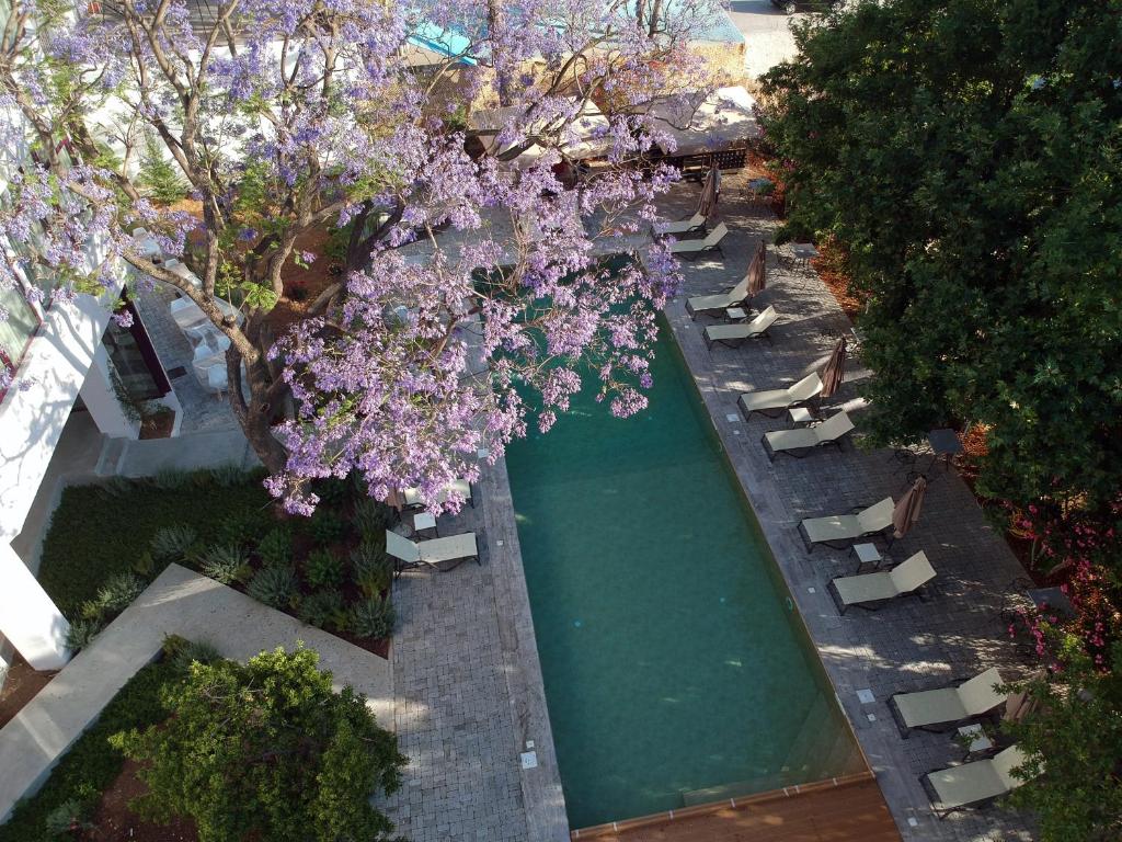 Avra Nafpliou - Resim 17