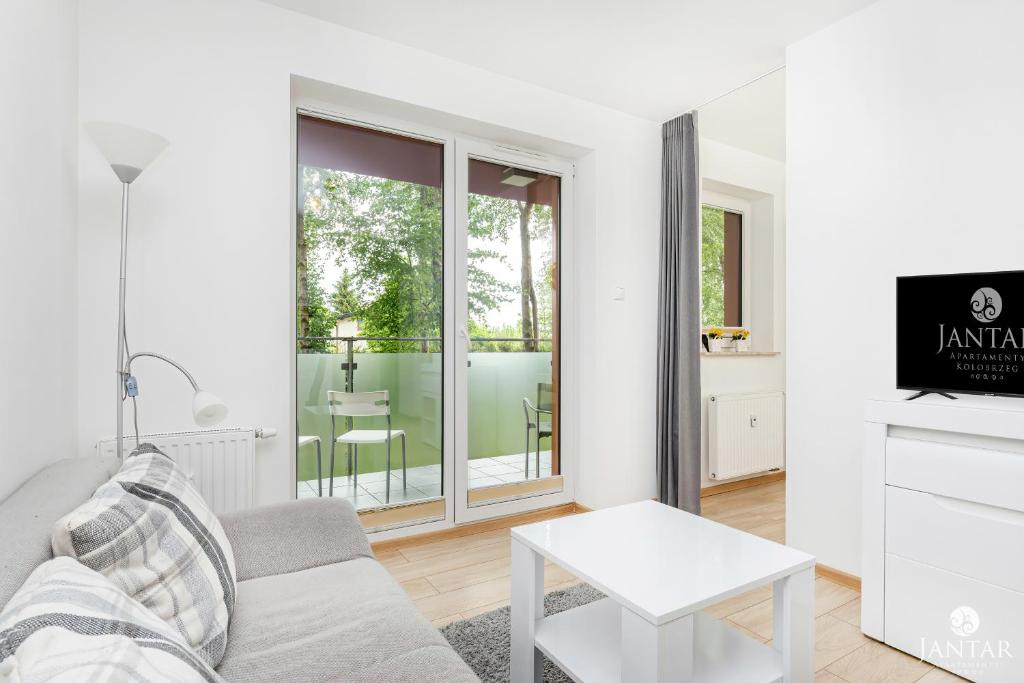 TV a/nebo společenská místnost v ubytování Jantar Apartamenty - Family Vacation Polanki