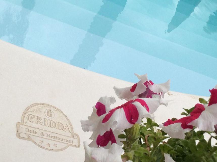 un montón de flores blancas y rojas junto a una piscina en Cridda Hotel & Restaurant, en Gizzeria