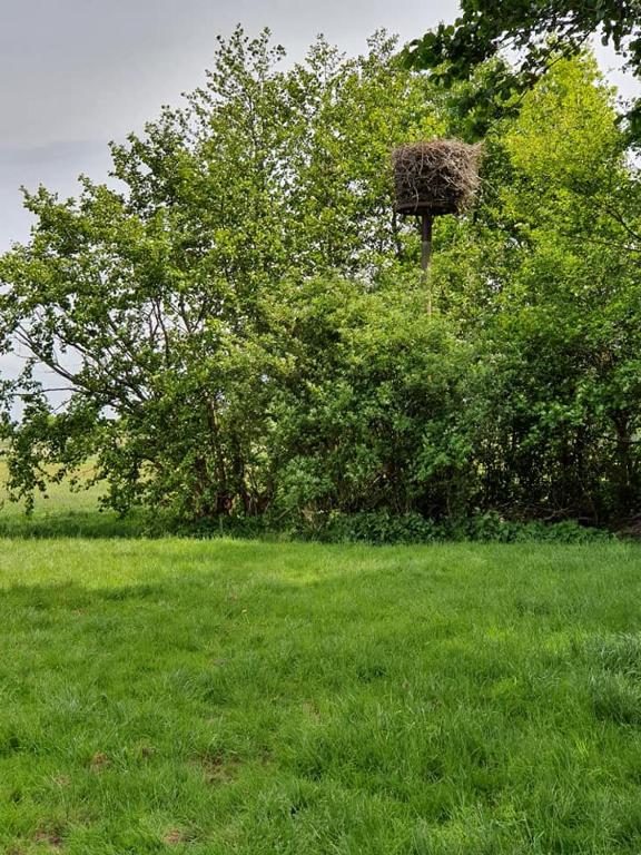 Zahrada ubytování Camping de Oude Rijn