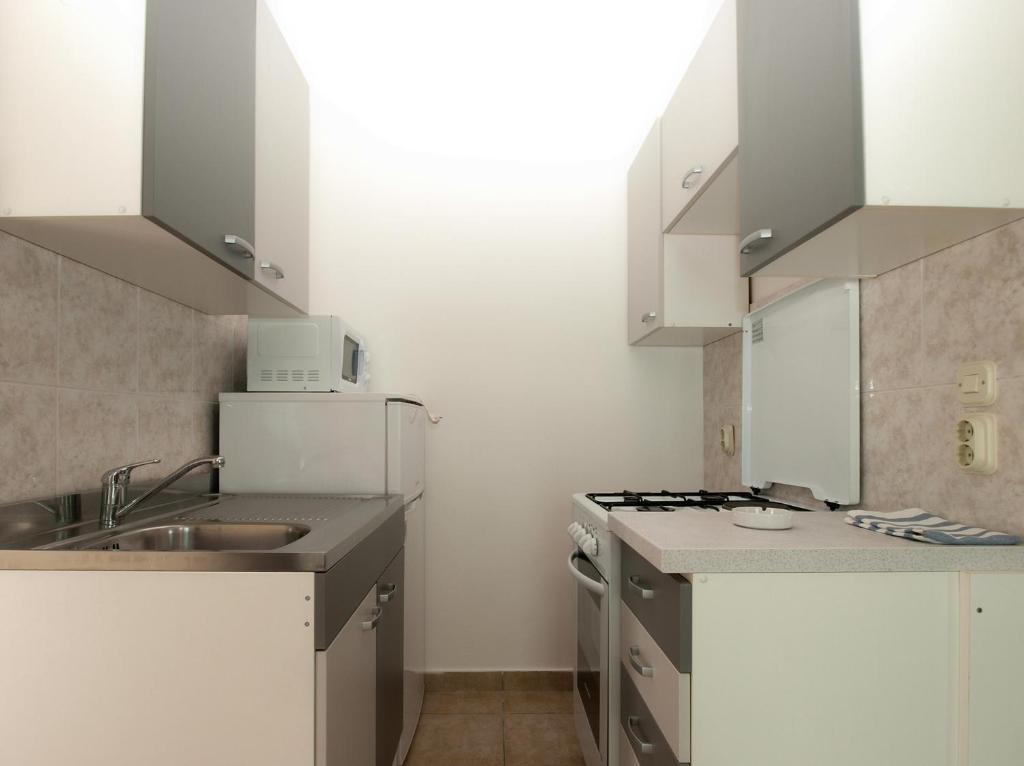Kuchyň nebo kuchyňský kout v ubytování Apartments Biskupije 810