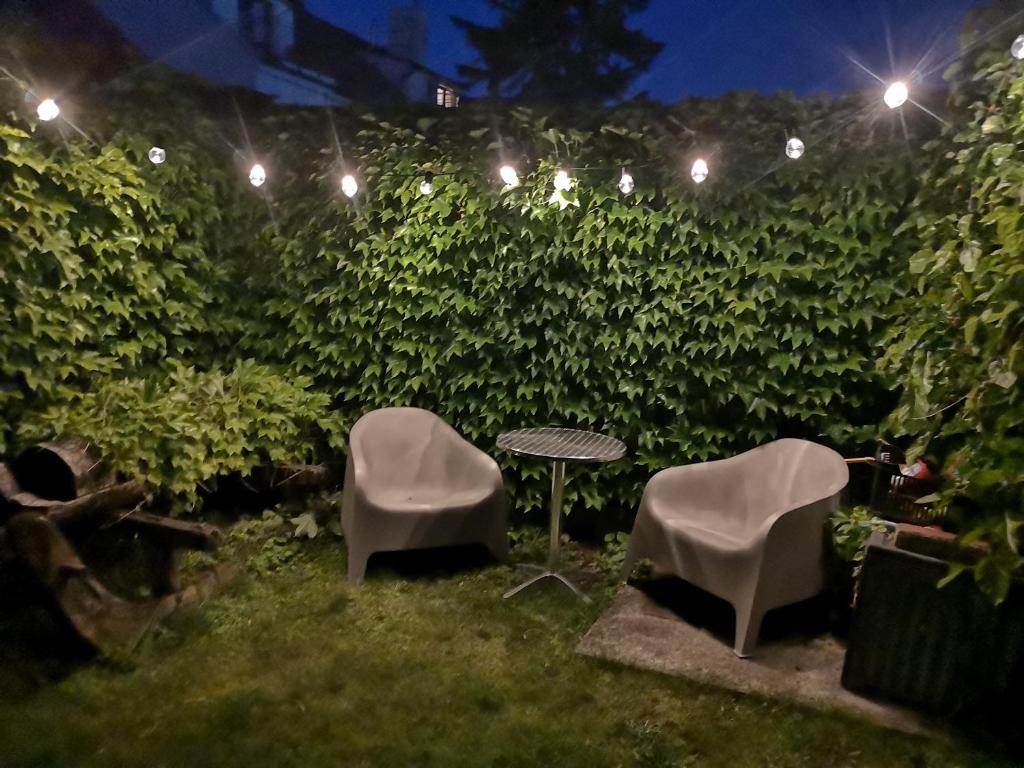 Zahrada ubytování Apartmány Gulliver