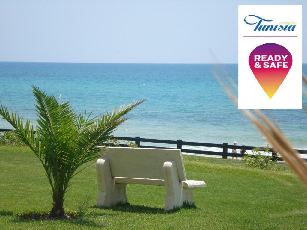 a bench next to a palm tree next to the ocean at B&B Cote D'azur in Hammamet