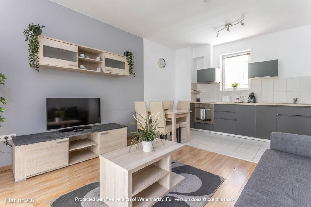 eine Küche und ein Wohnzimmer mit einem Sofa und einem TV in der Unterkunft Corvin Plaza Apartments & Suites in Budapest