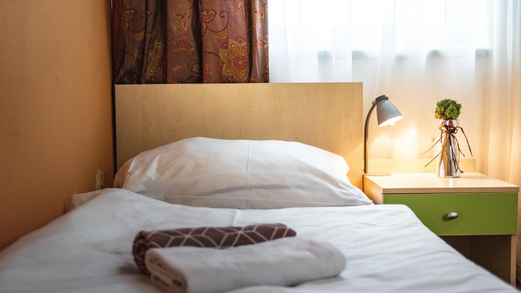 Postel nebo postele na pokoji v ubytování Hotel and Park Divoká Voda