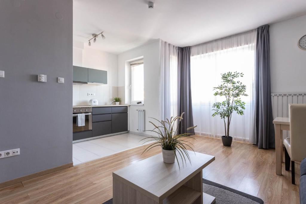 Kuchyňa alebo kuchynka v ubytovaní Corvin Plaza Apartments & Suites