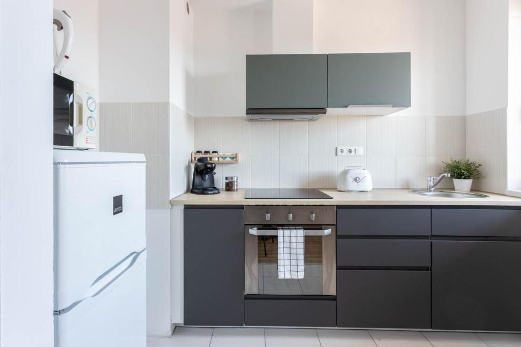 Kuchyňa alebo kuchynka v ubytovaní Corvin Plaza Apartments & Suites
