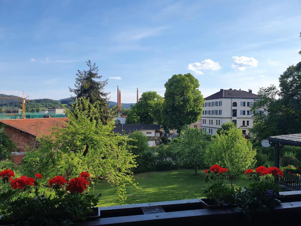 Zahrada ubytování Hotel zur Waldbahn