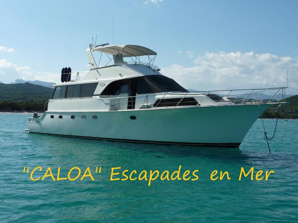 un bateau blanc dans l'eau dans l'établissement Ocean Yacht Trawler - Le Caloa, à Porto-Vecchio