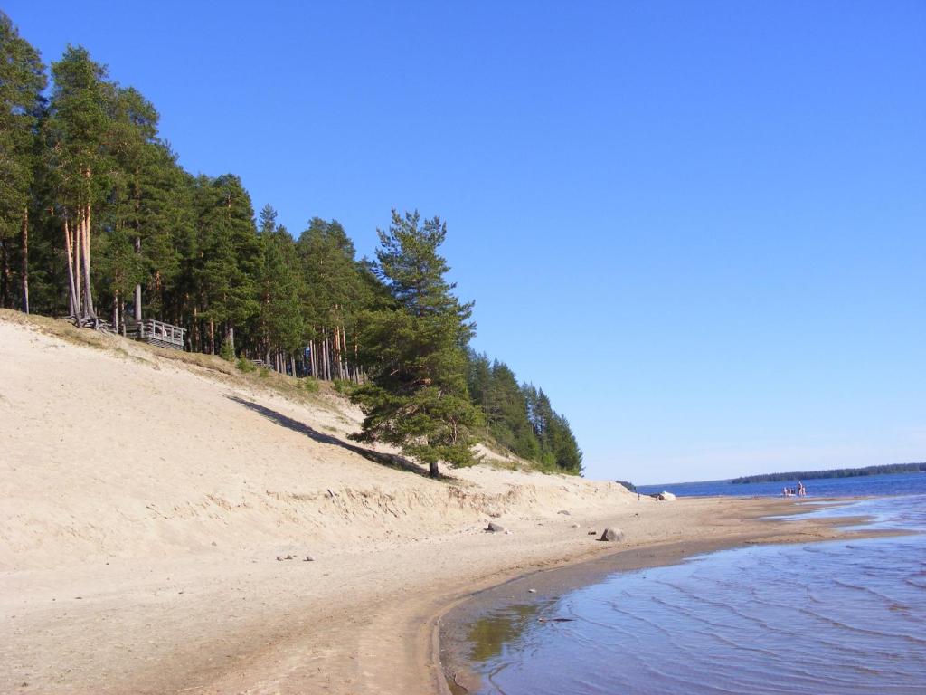 una playa de arena con árboles junto al agua en Hotel Tulikettu, en Sotkamo