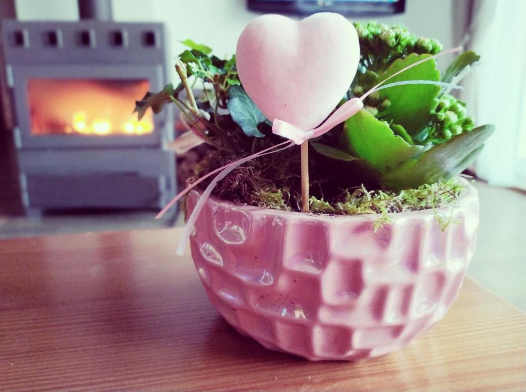 Fotografie z fotogalerie ubytování Sweet Home v destinaci Příchovice