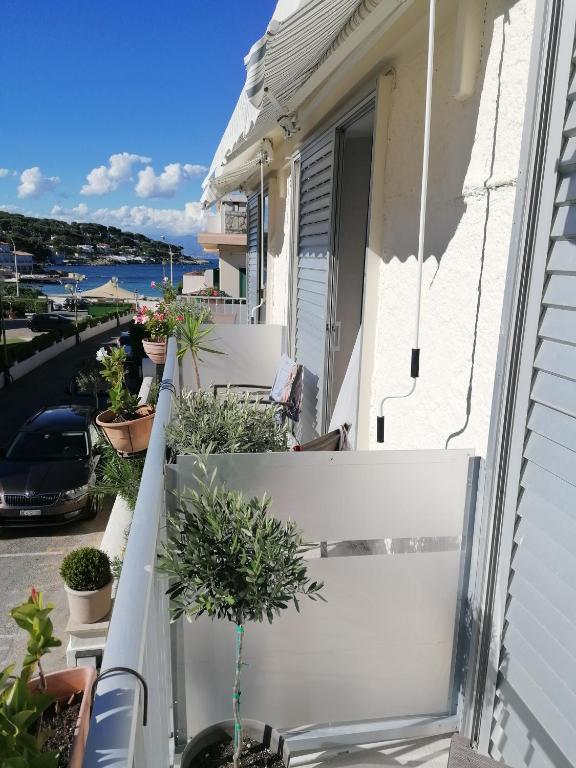 a balcony with potted plants on a house at Hotel Miramar- Cap d'Antibes - La Garoupe plage in Antibes