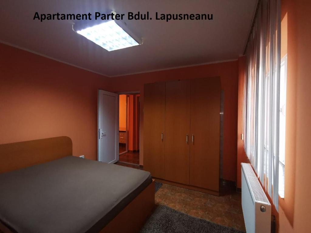 コンスタンツァにあるApartamente Bulevardul Lapusneanuのベッドルーム(ベッド1台、天窓付)