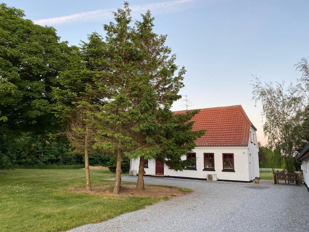 Una casa blanca con un árbol delante. en Bed & coffee Hjørring, en Hjørring